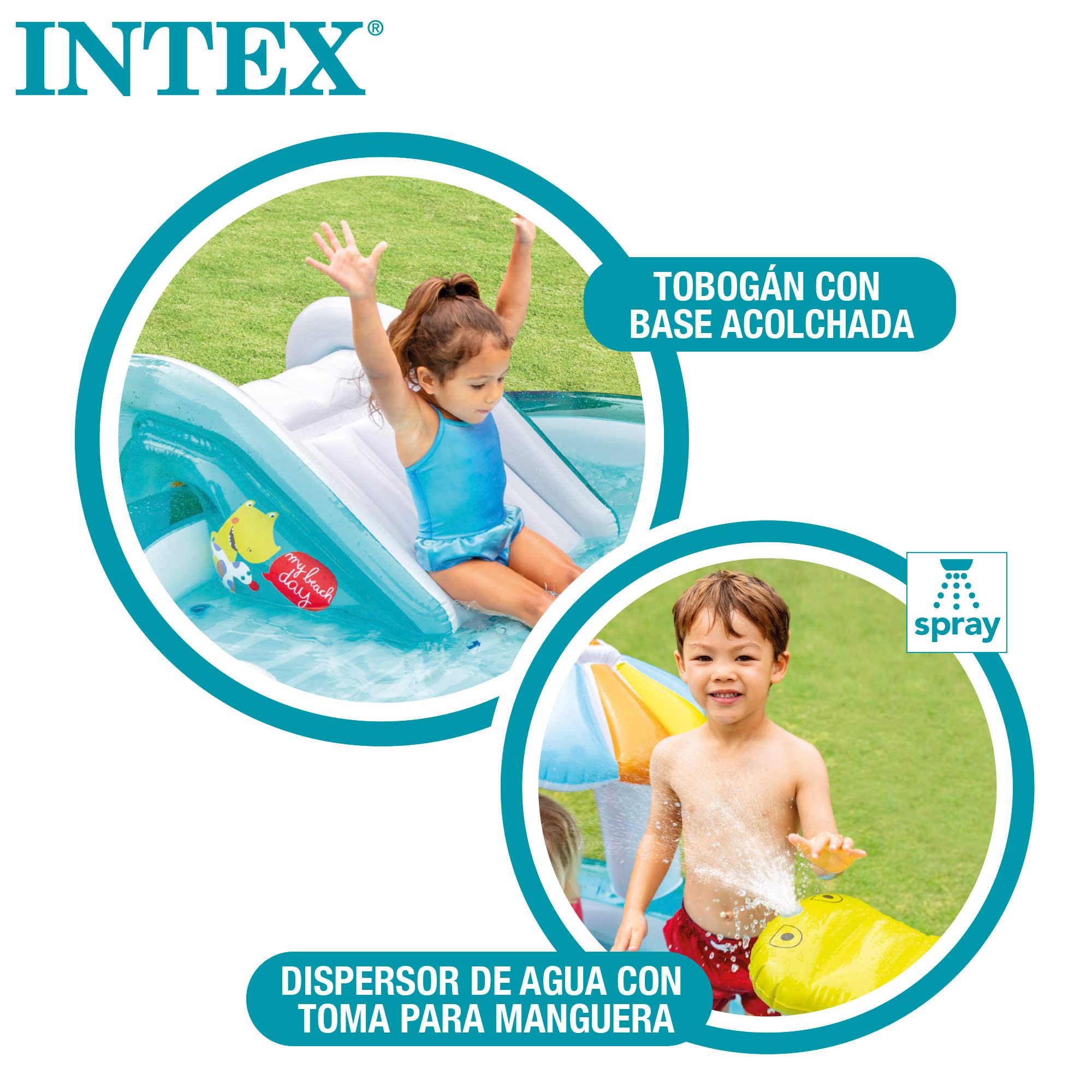 Amazon.co.jp: INTEX 57165 Round Multi-Color Gator Play